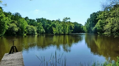 Etang de Villedoigt