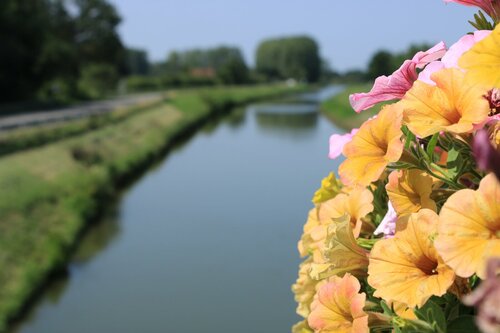 Sécurisation des berges du canal 