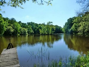 Etang de Villedoigt